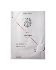 DURABLE Ausweishülle oben offen, 210 x 297 mm (B x H), dokumentenecht, Polypropylen, Stärke: 0,17 mm, transparent, glänzend
