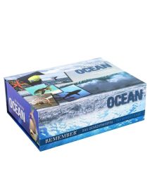 Remember Spiel Ocean
