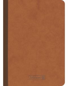 Brunnen Notizbuch FACT!plus A6 punktkariert braun